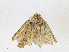  ( - CBG-A16720-F08)  @11 [ ] CreativeCommons - Attribution Share - Alike (2023) CBG Photography Group Centre for Biodiversity Genomics