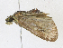  ( - CBG-A21616-A09)  @11 [ ] CreativeCommons - Attribution Share-Alike (2023) CBG Photography Group Centre for Biodiversity Genomics