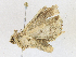  ( - CBG-A21616-E05)  @11 [ ] CreativeCommons - Attribution Share-Alike (2023) CBG Photography Group Centre for Biodiversity Genomics