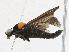  ( - CBG-A21690-A01)  @11 [ ] CreativeCommons - Attribution Share - Alike (2023) CBG Photography Group Centre for Biodiversity Genomics