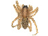  ( - CBG-A41832-H10)  @11 [ ] CreativeCommons - Attribution Share Alike (2024) CBG Photography Group Centre for Biodiversity Genomics