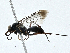  ( - BIOUG97759-B12)  @11 [ ] CreativeCommons - Attribution (2023) CBG Photography Group Centre for Biodiversity Genomics
