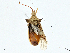  ( - BIOUG97760-H04)  @11 [ ] CreativeCommons - Attribution (2023) CBG Photography Group Centre for Biodiversity Genomics