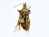  ( - BIOUG97760-H05)  @11 [ ] CreativeCommons - Attribution (2023) CBG Photography Group Centre for Biodiversity Genomics