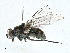  ( - BIOUG99485-B04)  @11 [ ] CreativeCommons - Attribution (2023) CBG Photography Group Centre for Biodiversity Genomics
