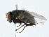  ( - BIOUG99559-E09)  @11 [ ] CreativeCommons - Attribution (2023) CBG Photography Group Centre for Biodiversity Genomics