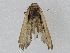  ( - CBG-A00272-C12)  @11 [ ] CreativeCommons - Attribution (2023) CBG Photography Group Centre for Biodiversity Genomics