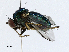  ( - CBG-A01197-F03)  @11 [ ] CreativeCommons - Attribution (2023) CBG Photography Group Centre for Biodiversity Genomics