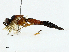  ( - CBG-A02873-A01)  @11 [ ] CreativeCommons - Attribution (2023) CBG Photography Group Centre for Biodiversity Genomics