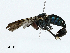  ( - CBG-A02873-A05)  @11 [ ] CreativeCommons - Attribution (2023) CBG Photography Group Centre for Biodiversity Genomics