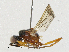  ( - CBG-A04498-B01)  @11 [ ] CreativeCommons - Attribution (2023) CBG Photography Group Centre for Biodiversity Genomics
