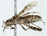  ( - BIOUG89927-A12)  @11 [ ] CreativeCommons - Attribution (2022) CBG Photography Group Centre for Biodiversity Genomics