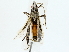 ( - BIOUG89927-B04)  @11 [ ] CreativeCommons - Attribution (2022) CBG Photography Group Centre for Biodiversity Genomics