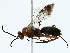  ( - BIOUG89927-C06)  @11 [ ] CreativeCommons - Attribution (2022) CBG Photography Group Centre for Biodiversity Genomics