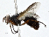 ( - CBG-A01174-A02)  @11 [ ] CreativeCommons - Attribution (2023) CBG Photography Group Centre for Biodiversity Genomics