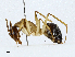  ( - CBG-A01195-C08)  @11 [ ] CreativeCommons - Attribution (2023) CBG Photography Group Centre for Biodiversity Genomics