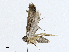  ( - CBG-A01195-E03)  @11 [ ] CreativeCommons - Attribution (2023) CBG Photography Group Centre for Biodiversity Genomics