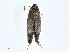  ( - CBG-A02871-D09)  @11 [ ] CreativeCommons - Attribution (2023) CBG Photography Group Centre for Biodiversity Genomics
