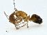  ( - CBG-A02871-E12)  @11 [ ] CreativeCommons - Attribution (2023) CBG Photography Group Centre for Biodiversity Genomics