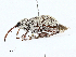  ( - CBG-A02872-A10)  @11 [ ] CreativeCommons - Attribution (2023) CBG Photography Group Centre for Biodiversity Genomics