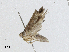  ( - CBG-A04499-D05)  @11 [ ] CreativeCommons - Attribution (2023) CBG Photography Group Centre for Biodiversity Genomics