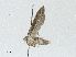  ( - CBG-A04499-G12)  @11 [ ] CreativeCommons - Attribution (2023) CBG Photography Group Centre for Biodiversity Genomics