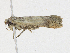  ( - BIOUG95291-G03)  @11 [ ] CreativeCommons - Attribution Share-Alike (2023) CBG Photography Group Centre for Biodiversity Genomics