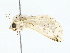  ( - BIOUG85273-G04)  @11 [ ] CreativeCommons - Attribution (2022) CBG Photography Group Centre for Biodiversity Genomics