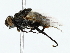  ( - BIOUG85274-H09)  @11 [ ] CreativeCommons - Attribution (2022) CBG Photography Group Centre for Biodiversity Genomics