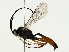  ( - BIOUG85275-C01)  @11 [ ] CreativeCommons - Attribution (2022) CBG Photography Group Centre for Biodiversity Genomics