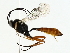  ( - BIOUG85275-E02)  @11 [ ] CreativeCommons - Attribution (2022) CBG Photography Group Centre for Biodiversity Genomics
