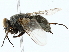  ( - BIOUG85276-C07)  @11 [ ] CreativeCommons - Attribution (2022) CBG Photography Group Centre for Biodiversity Genomics
