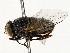 ( - BIOUG85276-D01)  @11 [ ] CreativeCommons - Attribution (2022) CBG Photography Group Centre for Biodiversity Genomics