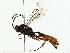  ( - BIOUG85277-C02)  @11 [ ] CreativeCommons - Attribution (2022) CBG Photography Group Centre for Biodiversity Genomics