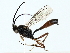  ( - BIOUG85278-D09)  @11 [ ] CreativeCommons - Attribution (2022) CBG Photography Group Centre for Biodiversity Genomics