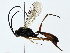  ( - BIOUG85278-G12)  @11 [ ] CreativeCommons - Attribution (2022) CBG Photography Group Centre for Biodiversity Genomics