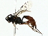  ( - BIOUG85504-A02)  @11 [ ] CreativeCommons - Attribution (2022) CBG Photography Group Centre for Biodiversity Genomics