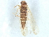  ( - BIOUG41849-G08)  @11 [ ] CreativeCommons - Attribution (2022) CBG Photography Group Centre for Biodiversity Genomics