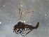 ( - BIOUG11980-G04)  @12 [ ] CreativeCommons - Attribution (2014) CBG Photography Group Centre for Biodiversity Genomics