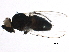  ( - BIOUG15838-B03)  @14 [ ] CreativeCommons - Attribution (2015) CBG Photography Group Centre for Biodiversity Genomics