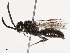  ( - CBG-B04127-A01)  @11 [ ] CreativeCommons - Attribution Share - Alike (2025) CBG Photography Group Centre for Biodiversity Genomics