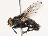  ( - CBG-B04127-C09)  @11 [ ] CreativeCommons - Attribution Share - Alike (2025) CBG Photography Group Centre for Biodiversity Genomics