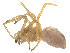  ( - CBG-B04131-H01)  @11 [ ] CreativeCommons - Attribution Share - Alike (2025) CBG Photography Group Centre for Biodiversity Genomics