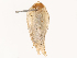  ( - CBG-B21227-D08)  @11 [ ] CreativeCommons - Attribution Share - Alike (2025) CBG Photography Group Centre for Biodiversity Genomics