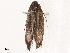  ( - CBG-B21227-H04)  @11 [ ] CreativeCommons - Attribution Share - Alike (2025) CBG Photography Group Centre for Biodiversity Genomics