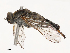  ( - CBG-B21230-G04)  @11 [ ] CreativeCommons - Attribution Share - Alike (2025) CBG Photography Group Centre for Biodiversity Genomics