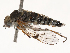  ( - CBG-B21235-B09)  @11 [ ] CreativeCommons - Attribution Share - Alike (2025) CBG Photography Group Centre for Biodiversity Genomics