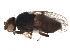  ( - BIOUG12225-F06)  @13 [ ] CreativeCommons - Attribution (2015) CBG Photography Group Centre for Biodiversity Genomics