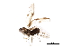  (Vilbasteana - BIOUG15359-D02)  @14 [ ] CreativeCommons - Attribution (2015) CBG Photography Group Centre for Biodiversity Genomics