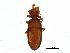  ( - BIOUG15363-G12)  @14 [ ] CreativeCommons - Attribution (2015) CBG Photography Group Centre for Biodiversity Genomics
